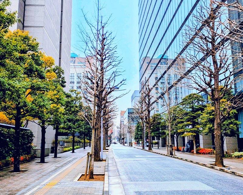 とりのこ心理オフィスへのルート案内:甲賀通りを坂の上まで進む